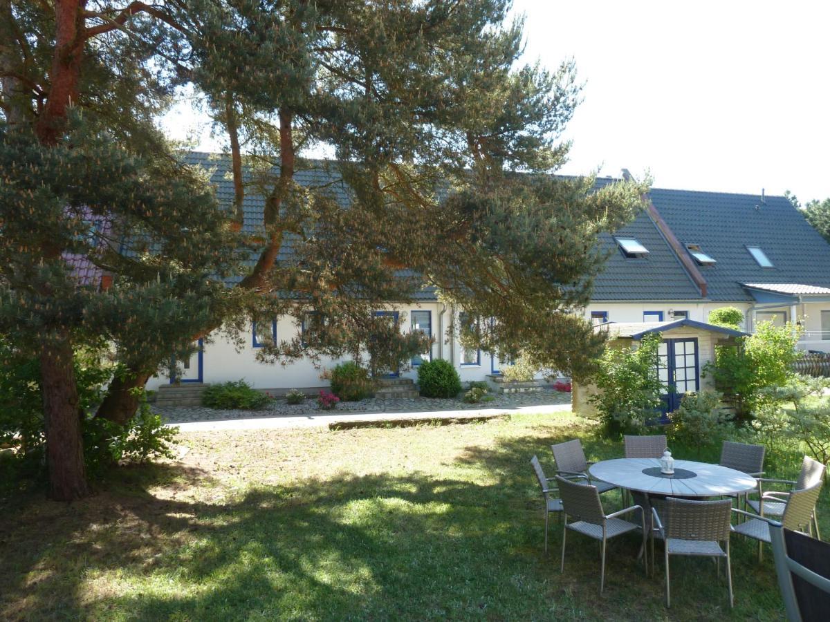 Romantisches Ferienhaus Boddenblick Mit Sauna Pruchten Ngoại thất bức ảnh